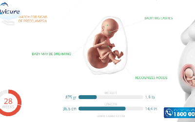 Thai 28 tuần cân nặng bao nhiêu là chuẩn?